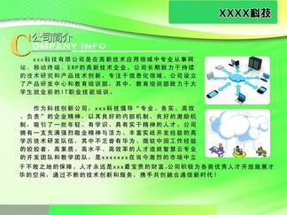 引领创新，驱动未来 XX网络技术开发公司简介